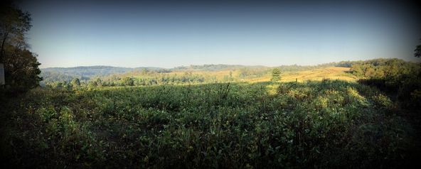 ±87 Acres Land: Route 519, North Strabane, PA 15317